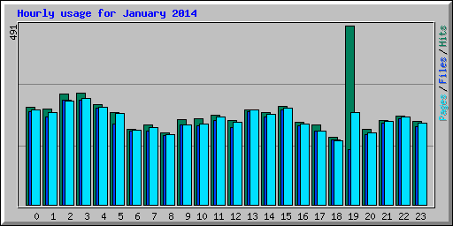 Hourly usage for January 2014