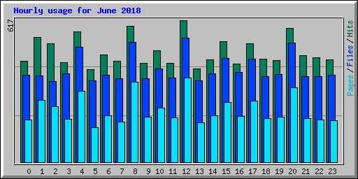 Hourly usage for June 2018