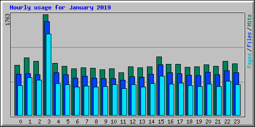 Hourly usage for January 2019