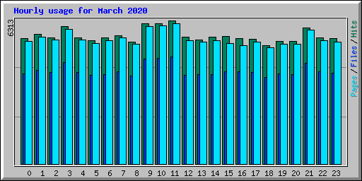 Hourly usage for March 2020