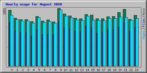 Hourly usage for August 2020