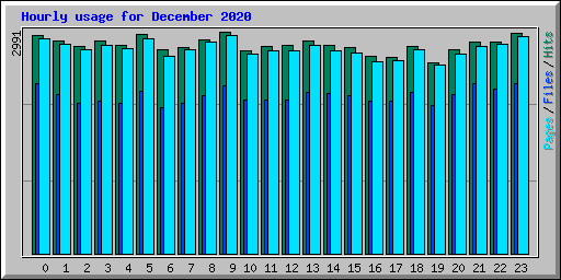 Hourly usage for December 2020